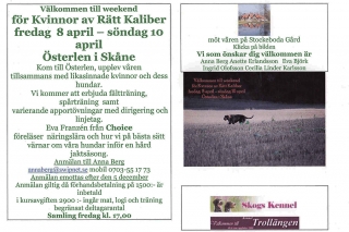 Kvinnor av Rätt Kaliber, KaRK